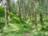 Beautiful walks