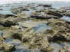 Fascinating rock pools