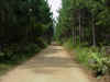 Road to Cape Vidal