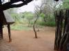 Situated in the bush...