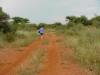 Long bush walks